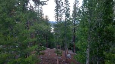 Mammoth yakınlarındaki çam ormanında başlayan hava üssü ardından Twin Falls Overlook 'u ve kayalık tepelerle çevrili dağ gölünü ortaya çıkarıyor. Sahne, doğal güzelliği ve dingin atmosferi yakalar.