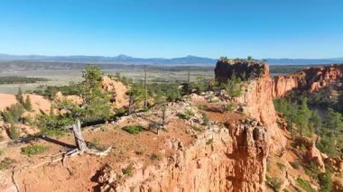 Dağılmış çam ağaçları ve Panguitch Utah yakınlarındaki Kızıl Kanyon ve Dixie Ormanı manzaralı engebeli kızıl kayalıklardan uçarak doğal güzelliği ve macerayı yakalıyor..