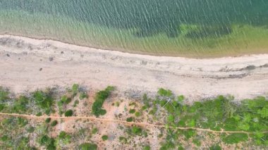 Utah 'ta deniz manzaralı bir gölün kıyı şeridi boyunca uzanan hava manzarası izleri. Dalgalanan su, kayalık kum ve yeşil ormanın zirvesi. Doğa yolculuğu ya da çevre temaları için mükemmel..