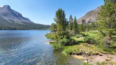 Lee Vining California yakınlarındaki Tioga Gölü 'nün üzerinden uçan hava uçuşu maden suyu dolu ormanı ve engebeli dağ zirvelerini serüven ve seyahat kavramları için mükemmel yaz ışığında gözler önüne seriyor..