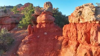 Panguitch yakınlarındaki Utah Dixie Ormanı 'ndaki canlı kırmızı kaya kabadayılarının ve engebeli kanyon arazisinin üzerinden uçan hava, etrafa saçılmış çam ağaçları ve süpürülen güneş ışığıyla doğal bir güzellik hissi yaratıyor.