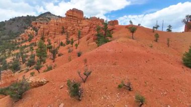 Kızıl Kanyon Utah 'taki canlı kırmızı kaya oluşumları ve dağınık çam ağaçları üzerinde uçan hava, dramatik araziyi ve Dixie Ormanı' nın geniş manzarasını parlak gün ışığında yakalıyor..