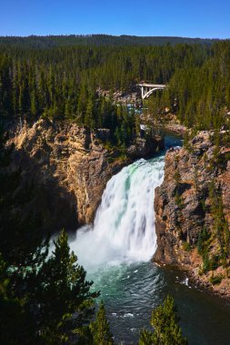 Yukarı Şelale 'nin görkemli manzarası yoğun ormanlarla çevrili engebeli bir kanyon boyunca akıyor ve Yellowstone Ulusal Parkı Wyoming' de berrak mavi bir gökyüzünün altında manzaralı bir köprü..