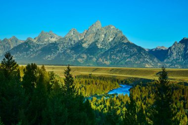 Görkemli Grand Teton dağları, Wyoming 'deki Snake River Overlook ve yoğun ormanlar üzerinde canlı mavi bir gökyüzü altında ilham verici bir doğal manzara yaratarak yükselir..