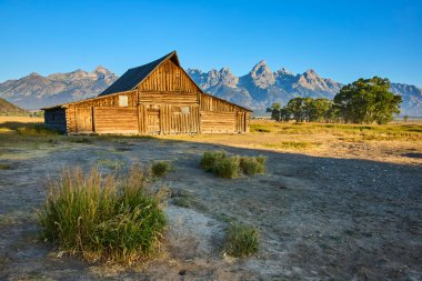 Sabah güneşi, Mormon Sokağı 'ndaki tarihi TA Moulton Barn' ı yıkıyor. Grand Teton dağları Amerika Birleşik Devletleri 'nin Wyoming' deki altın bir çayırında görkemli bir şekilde yükseliyor..
