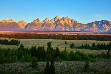 Sıcak gün doğumu ışığı Wyoming 'deki engebeli Grand Teton dağlarını bereketli ormanlar ve aşağıdaki geniş vadiyle aydınlatır. Yolculuk için mükemmel bir altın saat manzarası yaratır..