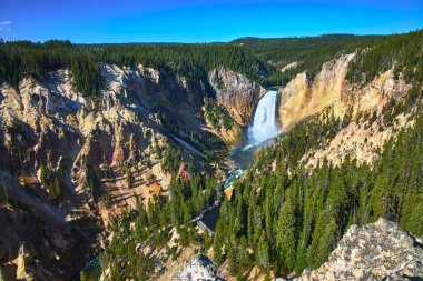 Yellowstone Şelaleleri, Wyoming 'deki parlak mavi gökyüzü altında verimli çam ormanları ve engebeli uçurumlarla çevrili dramatik bir kanyona dökülüyor ve nefes kesici bir doğal manzara yaratıyor..