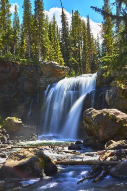 Yellowstone Ulusal Parkı 'ndaki Moose Falls Wyoming' de yoğun orman ve dalgalı suyla çevrili kayalık uçurumlara yuvarlanan çarpıcı bir şelale bulunmaktadır..