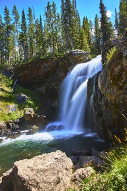 Yellowstone Ulusal Parkı 'ndaki Moose Falls Wyoming' de parlak mavi gökyüzünün altında etrafını saran temiz bir havuza düşen pitoresk bir şelale sergileniyor..
