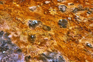 Mineral zengini jeotermal su, Wyoming 'deki Yellowstone' da sıcak bir kaynakta portakal tortusu ve kayaların üzerinden akar..