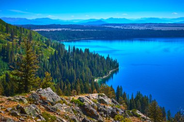 Güneş ışığı, Jenny Gölü 'nün açık mavi sularını aydınlatmakta. Yoğun orman ve engebeli dağ yamaçlarıyla çevrili Grand Teton Ulusal Parkı Wyoming' deki Jenny Gölü patikası boyunca..