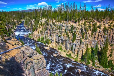 Yellowstone Ulusal Parkı Wyoming 'deki Lewis Canyon Şelalesi yoğun çam ormanı ve parlak mavi gökyüzünün altında ışıl ışıl suyla çevrili kayalık uçurumları kesen güçlü bir şelaleye sahiptir..