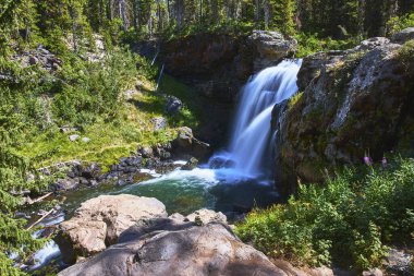 Yellowstone Ulusal Parkı 'ndaki Moose Falls Wyoming' de bereketli bir orman ve kristal berrak suyla dolu canlı güneş ışığıyla çevrili sakin bir havuza düşen güçlü bir şelale bulunmaktadır..