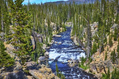Lewis Canyon Şelaleleri 'nden akan sular, Yellowstone Wyoming' de engebeli uçurumlar ve yoğun çam ormanlarıyla çevrili. Temiz bir gökyüzü altında nefes kesici bir doğal manzara yaratıyor..