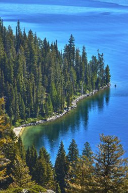 Güneşli çam ağaçları Wyoming 'deki Jenny Gölü' nün kayalık kıyılarında parıldayan mavi su ve berrak yansımalarla doğal ilham için ideal barışçıl ve canlı bir vahşi yaşam ortamı yaratıyor..