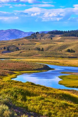 Yellowstone 'daki Hayden Vadisi' nin yeşil otlaklarında dolambaçlı bir nehir uzak Wyoming dağları ile aydınlık bir yaz gökyüzünün altında doğal bir güzellik ve sükunet hissi yaratıyor..