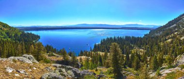 Jenny Lake 'in Grand Teton Ulusal Parkı' ndaki canlı manzarası. Berrak bir yaz gökyüzü altında, gür orman ve engebeli dağ yamaçlarıyla çevrili kristal mavi su..