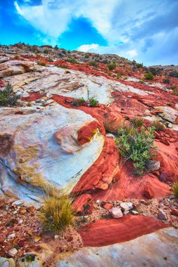 Nevadas Çamurlu Dağ bölgesindeki canlı sanatsal kumtaşı çarpıcı renk katmanları ve eşsiz dokular sergiliyor. Yerli çöl bitkileri ve uçsuz bucaksız bir gökyüzü Moapa Vadisi manzarasına doğal güzellikler katıyor..