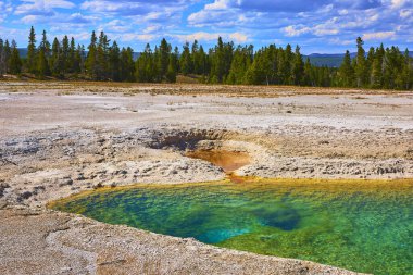 Turkuaz su ve sarı mineral kenarlı canlı bir kaplıca Yellowstone Ulusal Parkı Wyoming 'de çam ormanıyla çevrili bir jeotermal alanda bulunur..