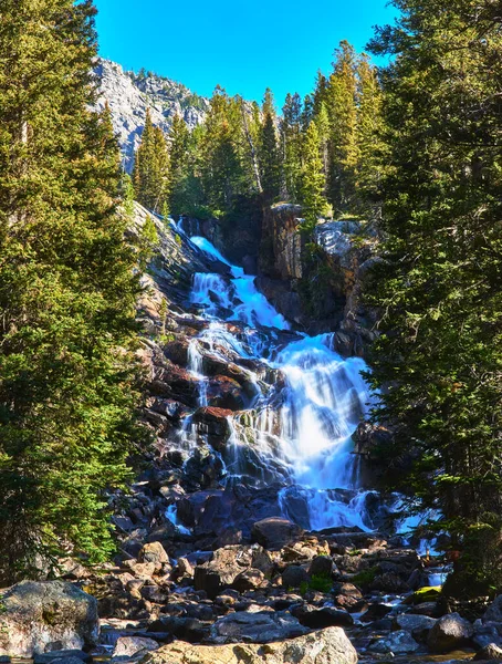 Büyük Teton Wyoming 'deki Jenny Lake Patikası boyunca yoğun çam ağaçları ve dağ tepeleri arasında berrak mavi gökyüzünün altında çarpıcı bir şelale dalgalanır..