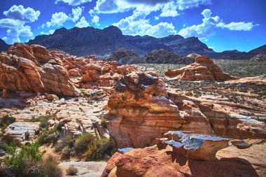 Canlı kırmızı kumtaşı kayaları ve bir hayvan kafatası arka planda Çamurlu Dağ yükselirken dramatik bir ön plan oluşturuyor. Güneşli çöl dokuları Moapa Vadisi yakınlarındaki gizli vadiyi dolduruyor Nevada.