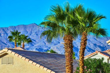 Palmiye ağaçları ve kiremit çatılı evler Las Vegas 'taki Nevada dağlarının arka planında duruyor. Parlak güneş ışığı, bu çekici yerleşim yerinin canlı renklerini ve rahat havasını vurguluyor..