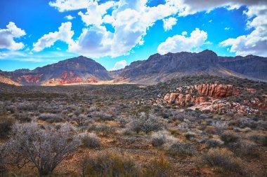 Nevada 'daki Muddy Dağı' nın çarpıcı manzarası canlı kırmızı kaya oluşumları ve dramatik bir gökyüzünün altındaki Moapa Vadisi 'nin engebeli arazisi. Saklı Vadi bitkileri buna doku ve derinlik katar.