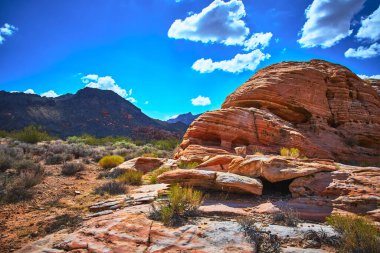 Canlı kırmızı kumtaşı kayaları çöl bitkilerinin dağıldığı araziye hakim. Engebeli Çamurlu Dağ Moapa Vadisi ve Saklı Vadi yakınlarındaki parlak mavi gökyüzünün altında yükseliyor.