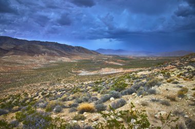 Nevada 'daki Moapa Vadisi üzerinde fırtına bulutları toplanırken çöl bitki örtüsü ve kayalık arazi Muddy Dağı' na doğru uzanıyor. Sahne, Saklı Kalan 'ın vahşi güzelliğini ve dramatik hava modellerini yakalar.