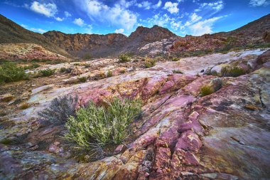 Renkli kaya ve sert çöl bitkilerinin canlı katmanları Nevada 'daki Muddy Mountain' a karşı duruyor. Moapa Vadisi ve Color Rock Quarry yakınlarındaki dramatik manzara Birleşik Devletler 'in engebeli güzelliğini vurguluyor.