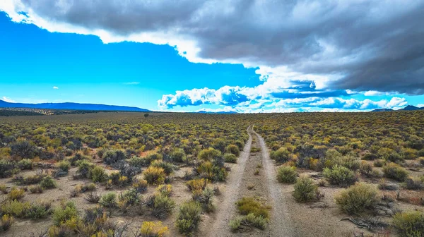 Kaliforniya 'da engebeli bir kır yolu, dramatik bir gökyüzünün altında çöl çayırlarına doğru esiyor. Açık yol ve geniş manzara Amerika Birleşik Devletleri 'ndeki 120. Otoyol boyunca macerayı çağrıştırıyor..