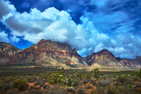Las Vegas Nevada yakınlarındaki Red Rock Kanyonu 'nun kırmızı kumtaşı dağları üzerinde çarpıcı bulutlar yuvarlanıyor. Geniş açıda parlak bir gökyüzü altında canlı kayalık kayalıklar ve vahşi Mojave çöl bitkileri sergileniyor..