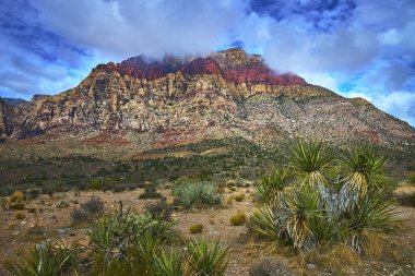 Las Vegas Nevada yakınlarındaki Red Rock Kanyonu 'nun kurak manzarasının üzerinde yükselen kumtaşı kayalıkları. Çöl bitki örtüsü ve dramatik bulutlar bu ikonik ABD 'de canlı bir doğal manzara yaratır.