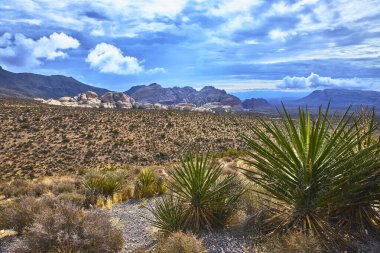 Çöl bitki örtüsü ve vurucu kumtaşı kayaları Las Vegas Nevada yakınlarındaki Red Rock Kanyonu 'nu tanımlar. Sahne, Birleşik Devletler 'in güneybatısının canlı renklerini ve geniş güzelliklerini yansıtıyor..