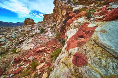 Nevada 'daki Çamurlu Dağ' ın kayalık çöl yamacından canlı sanatsal kumtaşı ve engebeli kayalar yükseliyor. Çarpıcı doğal renkler ve seyrek bitki örtüsü Moapa Vadisi yakınlarında dramatik bir manzara yaratır.