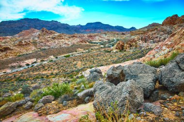 Nevada 'daki uçsuz bucaksız Moapa Vadisi ve Muddy Dağı canlı bir gökyüzünün altında uzanırken, renkli kumtaşı kayaları ve çöl bitkileri ön planda dolanıyor. Sanatsal kumtaşı oluşumları,