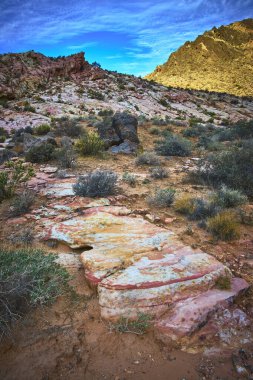 Nevada 'daki Çamurlu Dağ sahnesinin ön planında canlı kumtaşı katmanları ve çöl çalıları var. Moapa Vadisi yakınlarındaki Renkli Kaya Taş ocağı dramatik kaya dokularını ve sakin bir gökyüzünü gözler önüne seriyor..