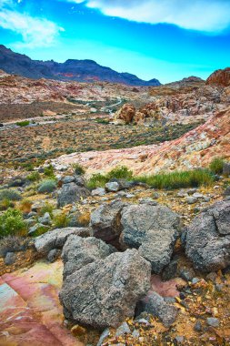 Sanatsal kumtaşı kayaları ve seyrek çöl bitkileri Nevada 'da Moapa Vadisi ve Muddy Dağı yakınlarında engebeli dağların yükselmesiyle ön planda yer kaplıyor. Doğal renkler ve dokular