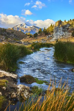 Arka planda karlı dağların yükseldiği Doğu Sierra 'daki Hot Creek Jeolojik Alanı' ndan manzaralı bir nehir akar. Bereketli otlar ve jeotermal kayalar canlı suyun etrafını sarar.