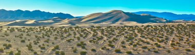 Nevada 'daki Büyük Kumul' un geniş hava manzarası dalgalanan kum tepecikleri canlı çöl bitkileri ve açık mavi gökyüzünün altında dramatik bir manzara için engebeli dağlar barındırıyor..