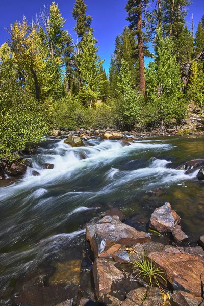 Kaliforniya 'da canlı ormanlarla çevrili kayaların üzerinden akan akarsu. Güneş ışığı Mamut ve Devils Postpile yakınlarındaki sahneyi aydınlatır. Tazelik ve doğal güzellik hissi yaratır..