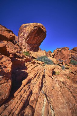 Seal Head Kayası Las Vegas Nevada yakınlarındaki Red Rock Kanyonu 'ndaki çizgili kırmızı kumtaşından cesurca yükseliyor. Parlak mavi gökyüzü ve rengarenk kaya oluşumları canlı ve maceracı bir çöl yaratır.