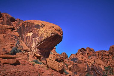 Seal Head Kayası Red Rock Canyon Nevada 'daki Calico kumtaşı oluşumları arasında yer almaktadır. Canlı mavi gökyüzü ve Las Vegas yakınlarındaki engebeli çöl manzarası çarpıcı bir doğal manzara yaratır..