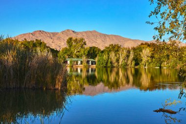 Altın saat ışığı, Las Vegas 'taki Floyd Lamb Park' taki sakin göleti aydınlatıyor. Su yansımaları, yemyeşil ağaçlar ve bir dağ zeminiyle sakin ve davetkar doğal bir manzara yaratıyor..