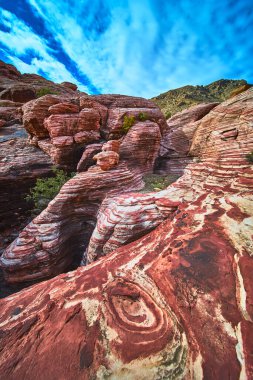 Las Vegas Nevada yakınlarındaki Red Rock Kanyonu 'nda canlı kırmızı ve beyaz kaya oluşumları yükseliyor. Dönen kumtaşı katmanları ve seyrek çöl bitkileri bu ikonik Nevada manzarasında dramatik bir gökyüzüne karşı duruyor..