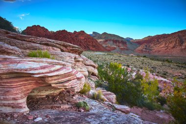 Canlı Calico kumtaşı oluşumları Las Vegas yakınlarındaki Nevada Çölü 'nde göze çarpıyor. Kaplumbağa Kafa Tepesi uzakta yükseliyor. Yemyeşil bitki örtüsü, Kızıl 'ın ikonik kırmızı ve pembe kayalarıyla çelişiyor.