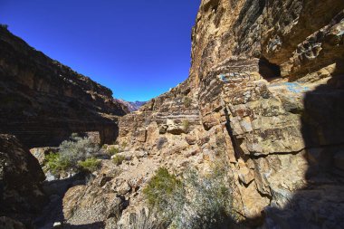 Güneş ışığı Las Vegas Nevada yakınlarındaki Kovboy Kanyonu 'nda dramatik kaya oluşumlarını ve dayanıklı çöl bitkilerini aydınlatır. Parlak mavi gökyüzünün altındaki engebeli kayalarda küçük bir mağara görülebilir..