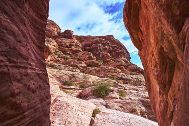 Güneş ışığı, Las Vegas Nevada yakınlarındaki Red Rock Kanyonu 'nun katmanlı kırmızı kumtaşı oluşumlarını aydınlatır. Çöl bitkileri engebeli kayalar arasında gelişiyor. Mavi gökyüzü dramatik Kraft Dağı 'nı çerçeveliyor.