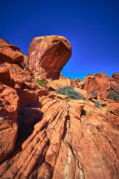 Seal Head Kayası Las Vegas Nevada yakınlarındaki Red Rock Kanyonu 'ndaki çizgili kırmızı kumtaşından cesurca yükseliyor. Parlak mavi gökyüzü ve rengarenk kaya oluşumları canlı ve maceracı bir çöl yaratır.
