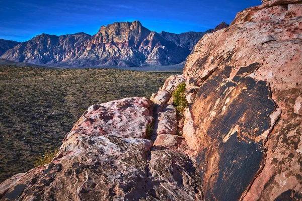 Kızıl Kaya Kanyonu 'ndaki canlı Calico kumtaşı oluşumları açık Nevada çölüne karşı göze çarpıyor. Güneşli dokular ve uzak dağlar Las Vegas yakınlarında bir ölçek ve macera hissi yaratıyor..